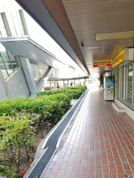 Beauty World Plaza (D21), Apartment #170532122